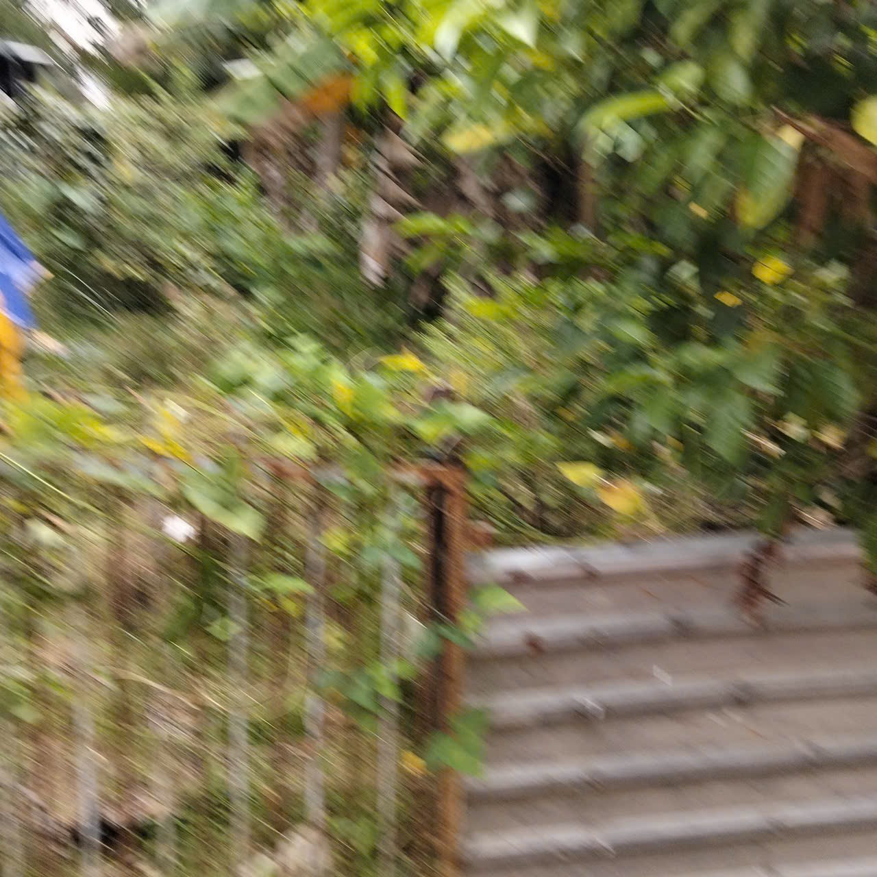 Bán đất 148.5m² ( full thổ) Phường Phước Hậu