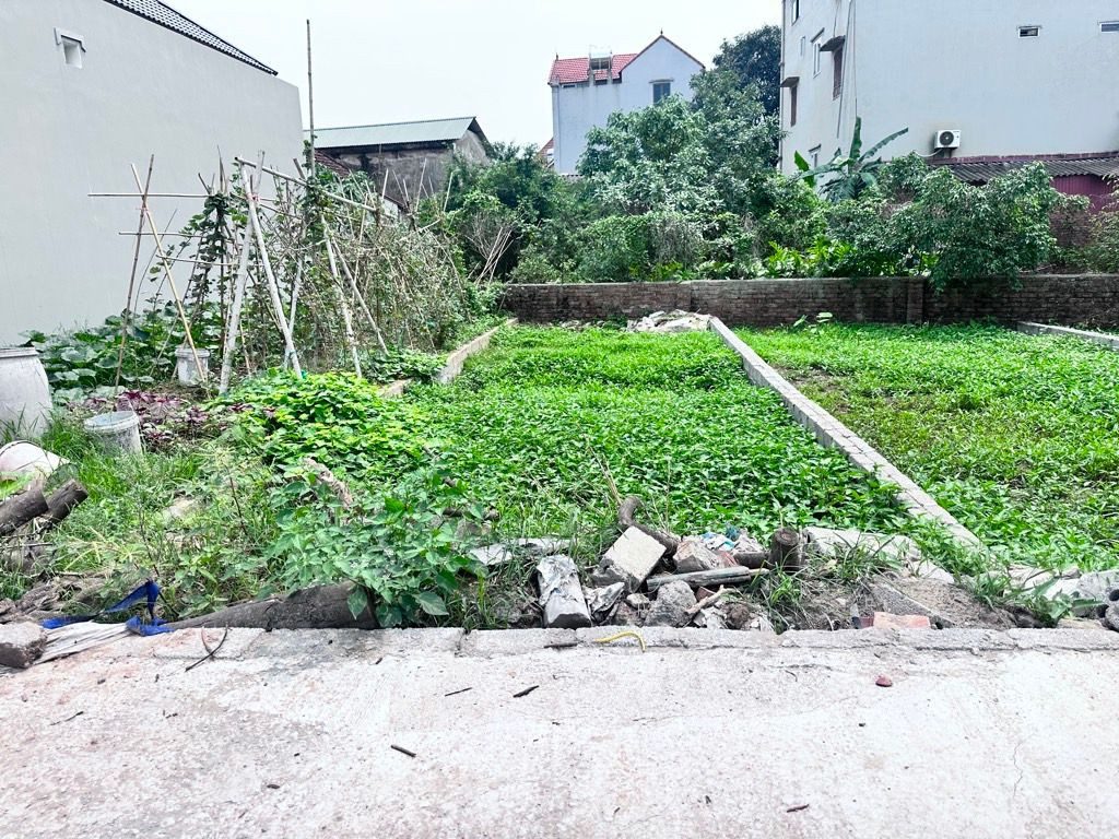 BÁN ĐẤT 52M2 FULL THỔ CƯ NGANG 4M XÃ LONG HƯNG VĂN GIANG PHÂN LÔ- MẶT TIỀN RỘNG- TẦM TIỀN- GIÁ ĐẦU TƯ 2,5tỷ