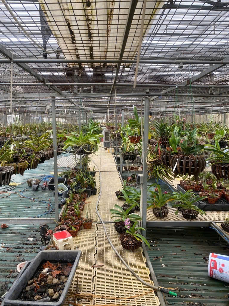Bán đất ngũ nhạc 360M không sổ ô tô tránh kinh doanh hoàng mai