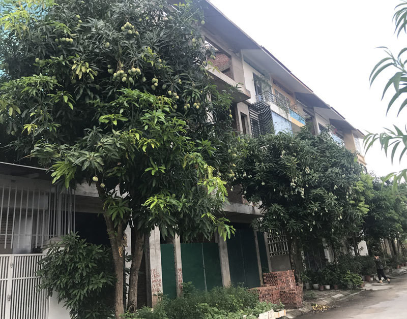Chính chủ kẹt tiền cần bán nhanh nhà Quận 8, 242m2, thương lượng sâu