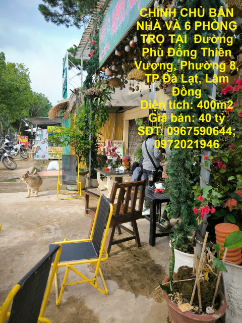 CHÍNH CHỦ BÁN NHÀ VÀ 6 PHÒNG TRỌ TẠI Đường Phù Đổng Thiên Vương, Phường 8, TP Đà Lạt.