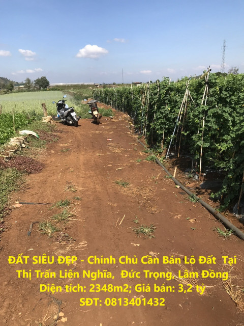 ĐẤT SIÊU ĐẸP - Chính Chủ Cần Bán Lô Đất  Tại Thị Trấn Liên Nghĩa,  Đức Trọng, Lâm Đồng