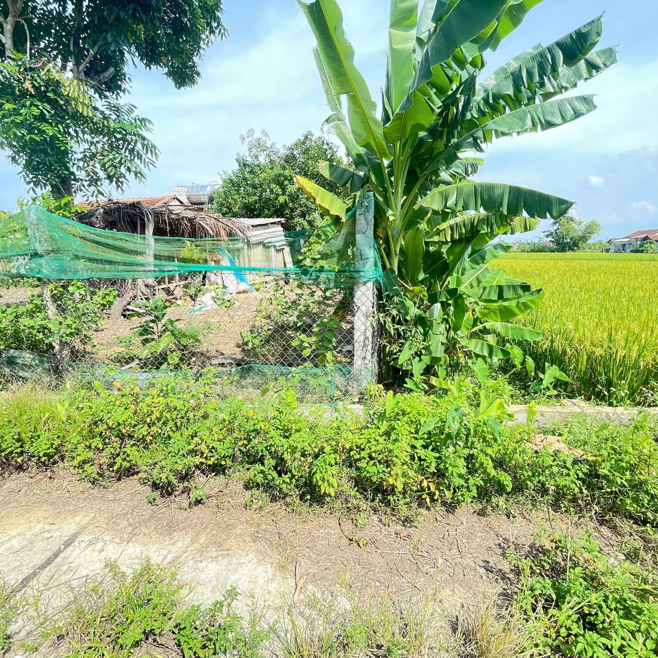 Bán đất 200m² ngang 6m giá 350 triệu Xã Thăng Phú