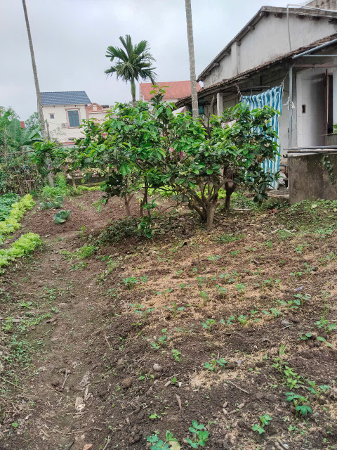 CƠ HỘI SỞ HỮU LÔ ĐẤT ĐẸP PHÚC LỢI – SÀI ĐỒNG-LONG BIÊN