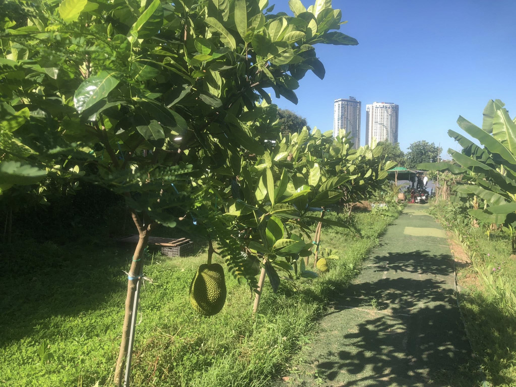 Cho thuê 1200m2 đất ngay chân cầu Long Biên Cà Phê, Nhà hàng, Vui chơi trải nghiệm, 10tr