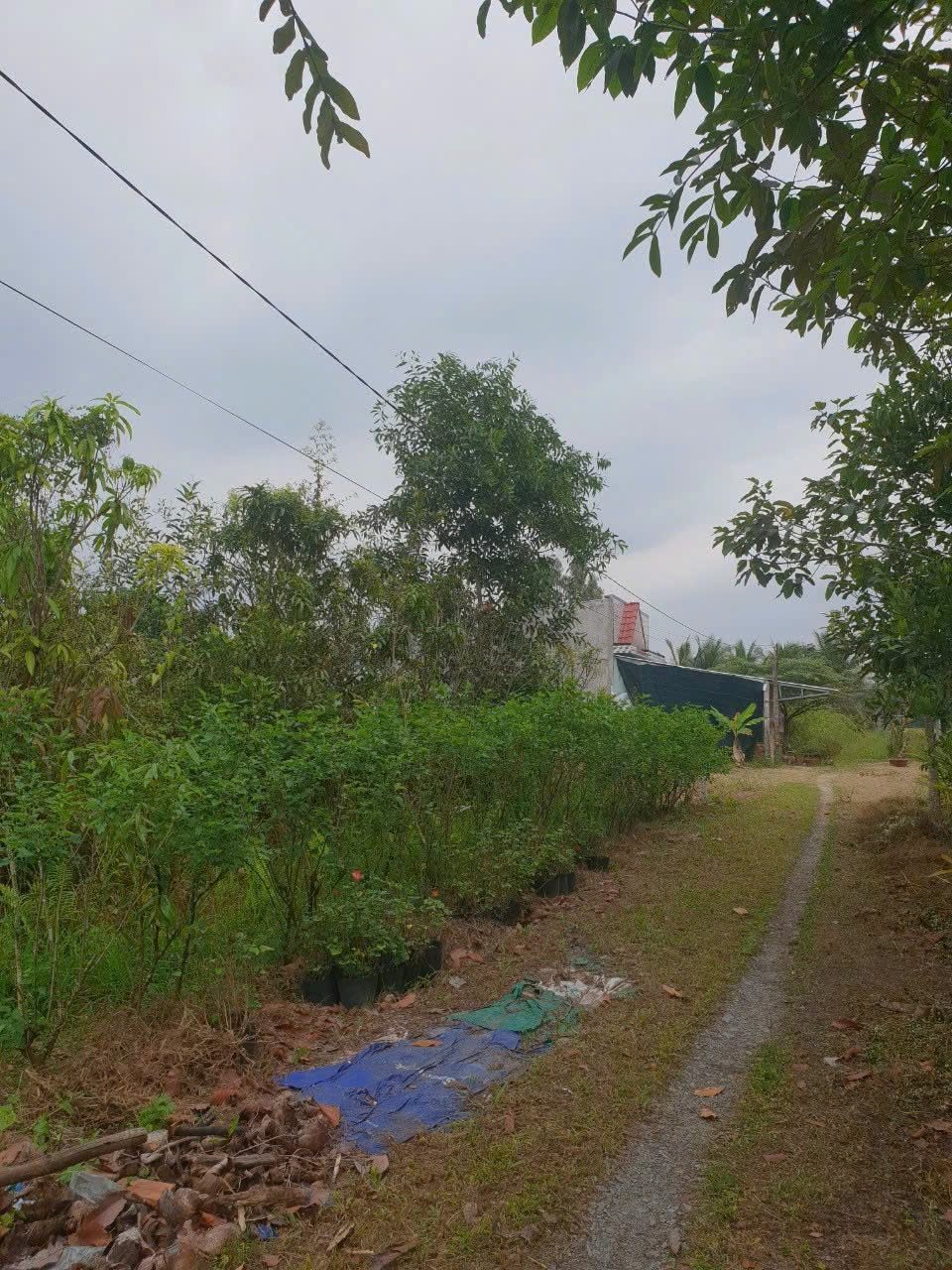 Bán đất 202.2m² ngang 6m giá 1 tỷ tại Đường Phước Hậu Phường Phước Hậu.
Quý anh/chị có nhu cầu xin liên hệ chính chủ: 0393276039.  Xin chân thành cảm ơn.