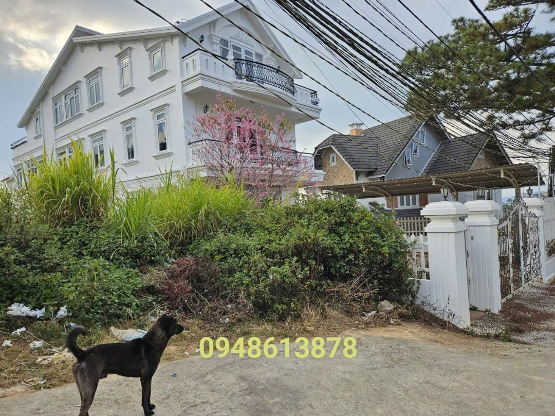 Lô đất Trịnh Hoài Đức- P11 Đà Lạt 649m- xung quanh là các căn villa, khách sạn,.. cách Hồ Xuân Hương 3km