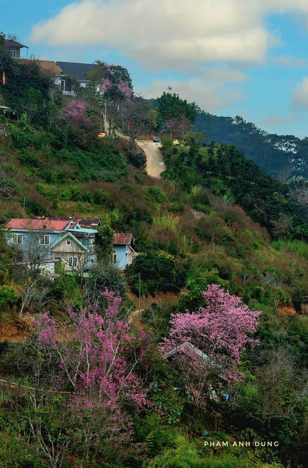 Bán lô đất xây dựng 200m - hẽm Bạch Đằng- Phường Langbiang- Đà Lạt- Cách Hồ XH 3km