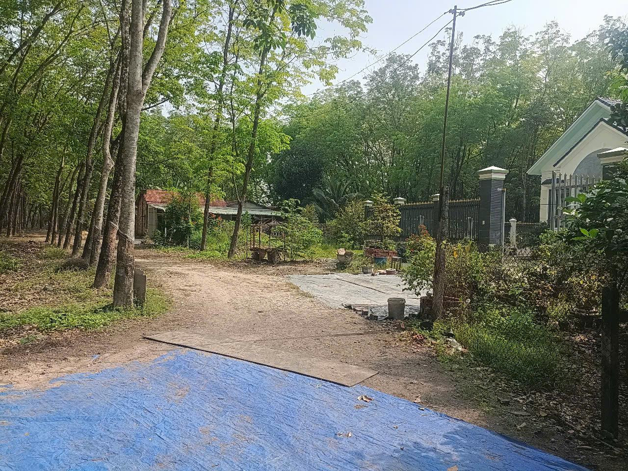 HOT HOT HOT  -CẦN BÁN GẤP LÔ ĐẤT  VỊ TRÍ ĐẸP  TẠI Phường Hòa Lợi, Thị xã Bến Cát, Tỉnh Bình Dương.
