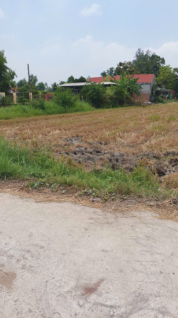 Bán đất 5400m2m² ngang 61m giá 45.6 tỷ Xã Mỹ Hạnh