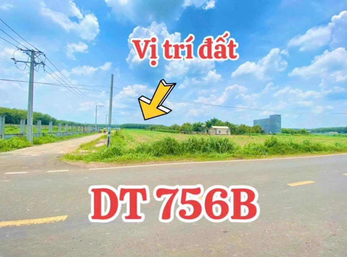 BÁN RẺ LÔ ĐẤT THỔ CƯ 15M MẶT NHỰA(750M2) SÁT KCN 630HA,TIỆN ÍCH ĐẦY ĐỦ NHƯ SÀI GÒN, 486TR/ Sổ