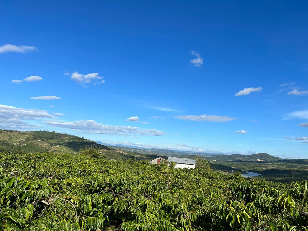 Bán  đất nông nghiệp 7000m² , dự án Di Linh Central Lake  giá 26.5 tỷ