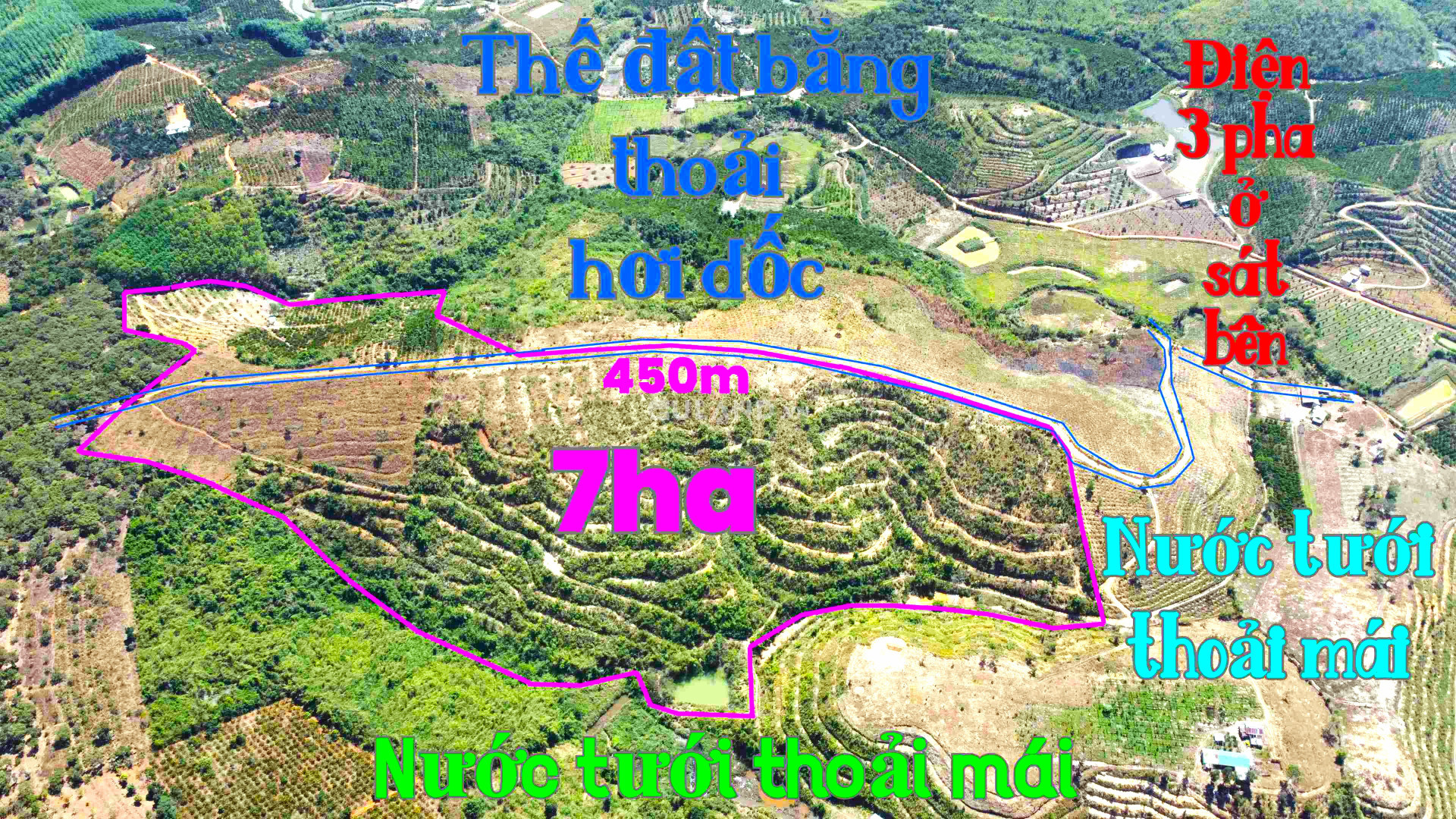 Đất rẫy đẹp 7ha | Giá chỉ 400tr/ha tại Tp.Gia Nghĩa tỉnh Đắk Nông