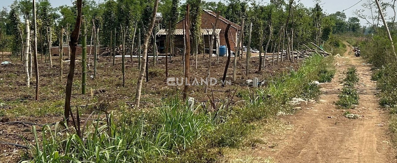 Bán lô đất ở eadrong - Thị xã Buôn Hồ - Đăk Lăk (số điện thoại zalo: 0848516079)
