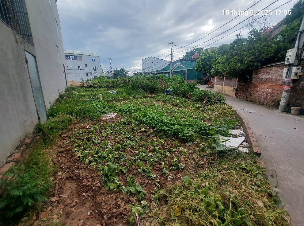 Chủ cần bán 60m2, mt8.5m, Quang Minh, Mê Linh, 4.08 tỷ.ô tô tránh.
