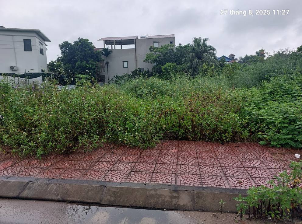 Đất Đấu giá Tổ 4, Quang Minh, 125m2, mt7m, 7.5 tỷ, Mê Linh.