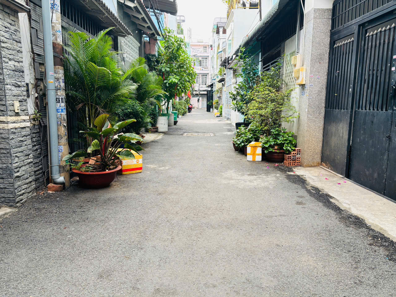 Bán nhà Gò Vấp gần Chợ Hạnh Thông Tây-Xe hơi ngủ nhà-53m2-Cho thuê 10tr-Chỉ 5 tỷ6