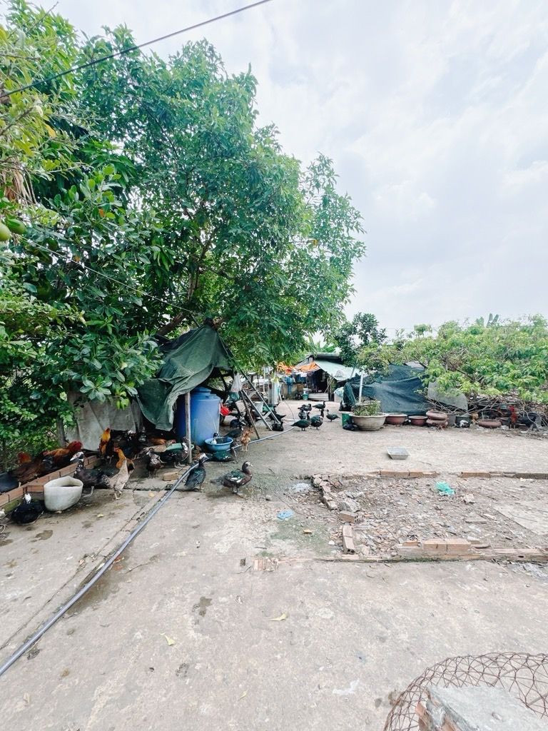Đất QL1A DT 2744m Giá 33,5 tỷ