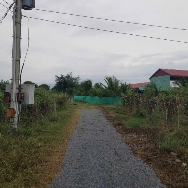 Bán 2 sào lúa giá rẻ  🫱 Tại: thôn 5: xã hàm đức  🫱 Đường ôtô tới đất thoải mái  🫱 Đất có sẵn Thanh Long đang ăn trái  🫱 2 sổ hồng riêng  💵 Giá 399 triệu (hết sổ) ☎️ 0333982839