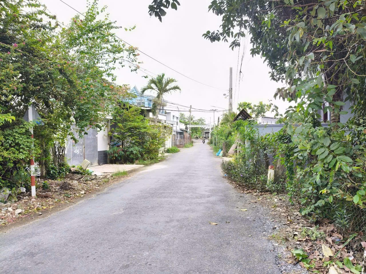 2,3công đất ấp Long Mỹ,Phước Thạnh,TP.Mỹ Tho,Tiền Giang