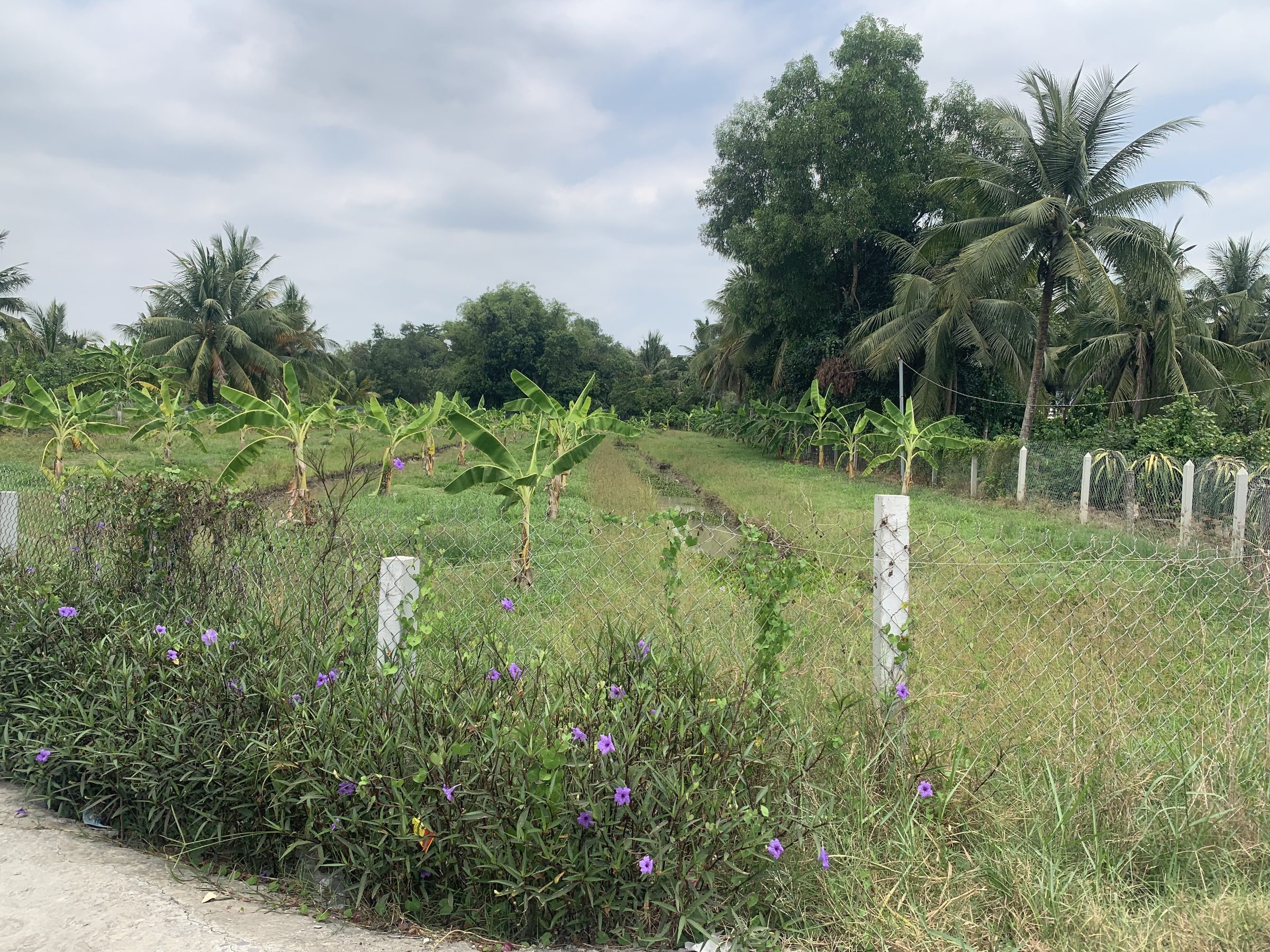 🏡chủ gửi bán 2lô đất vườn.2lô liền kề 
- Thạnh đức bến lức tây ninh 
- cách Ql1A 700m 
- lô1 : ( 501m )560tr nở hậu 8,5m
- lô2 : ( 546m2 ) 580tr nở hậu 11m
- khách thiện chí mua 2lô có giá tốt 
☎️ lh 0971.342.567 Quốc
