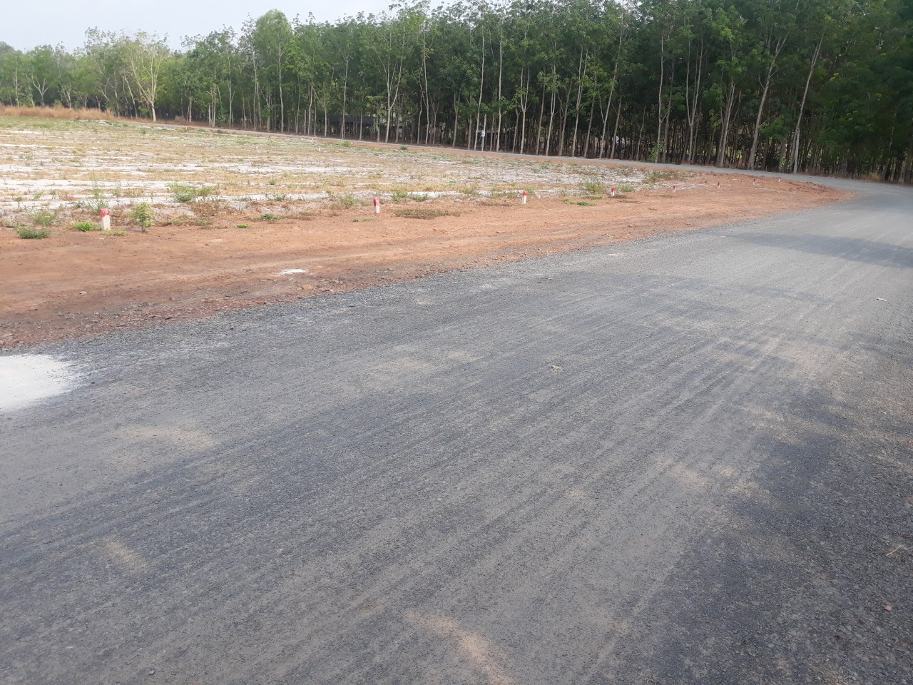 Tôi bán lô 5 (25x45=1125m). 290 Triệu, trung tâm , thị xã Chơn Thành ngay chợ đường nhựa, BECAMEX