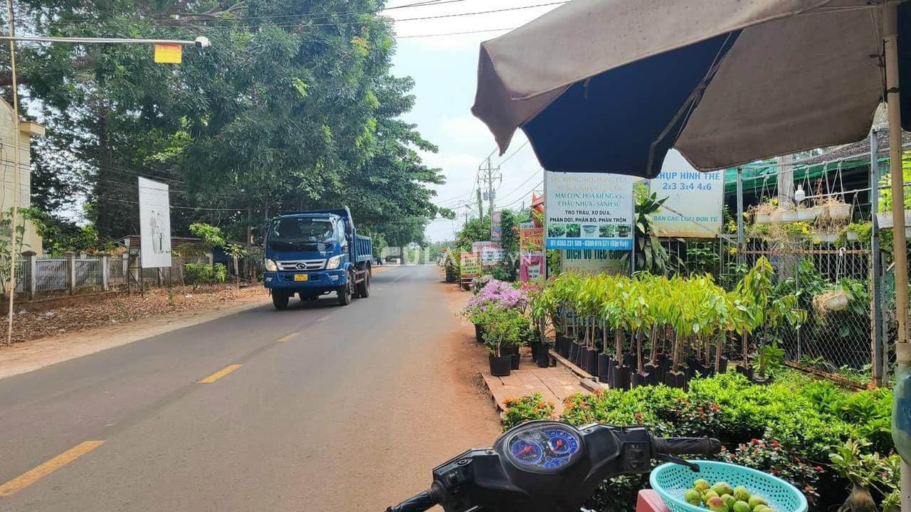 Đất bán trung tâm xã Lộc An-Lộc Ninh
