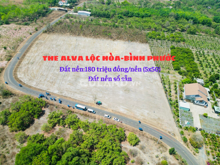 Dự án Tiềm Năng THE ALVA Lộc Hòa, 250m2, 368 Triệu, Trung Tâm Cửa Khâu Hoa Lư