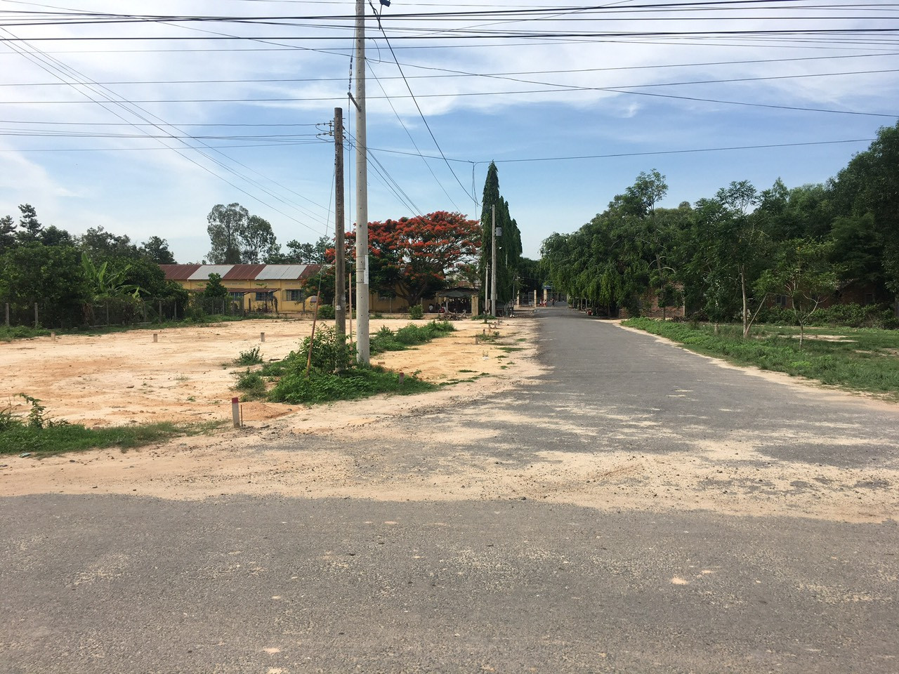 [BÁN GẤP] Đất sào 450m2 sổ riêng giá 225Triệu bao sổ, dân đông, gần chợ, trung tâm Bình Phước