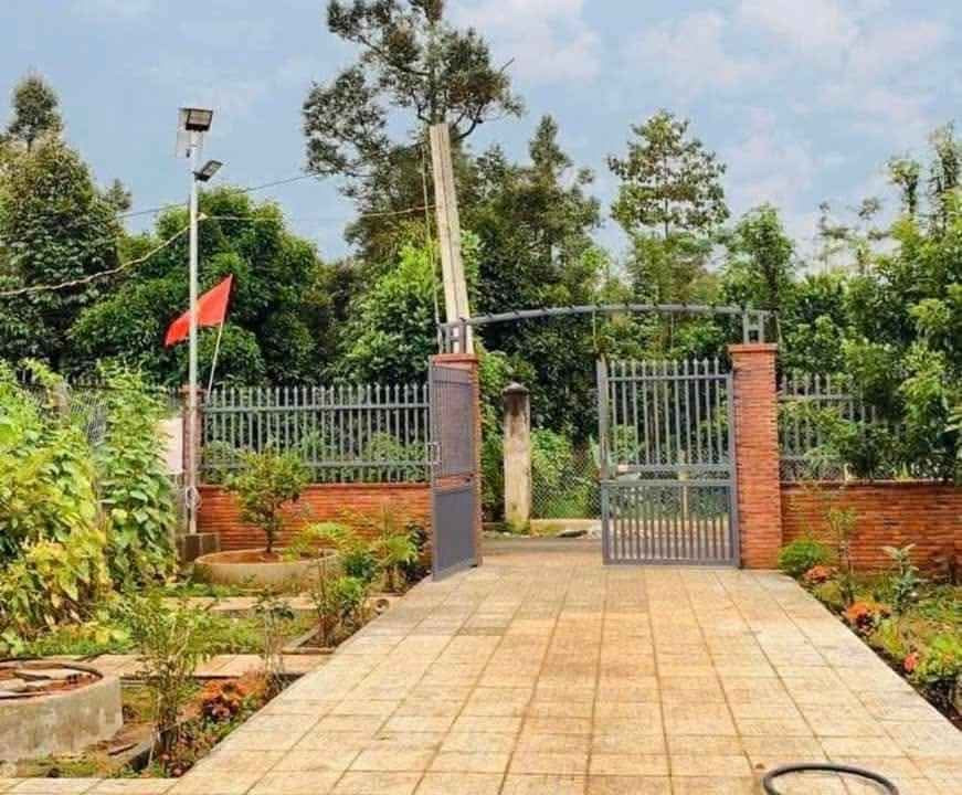 Cần bán nhanh nhà vườn, đất tại Chơn Thành  diện tích hơn 2000m2 có sẵn 100m thổ cư. Giá 420tr, sổ hồng riêng, công chứng nhanh