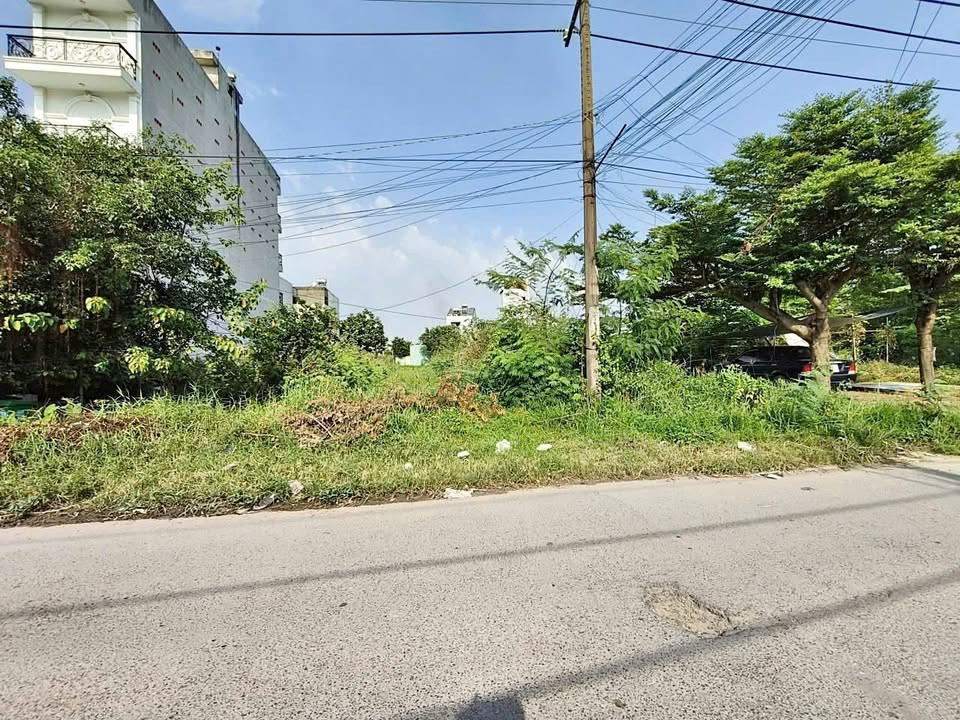 Bán gấp thu hồi vốn trước 30/4còn vài lô tổng (4.949m2) 245 triệu tới 500 triệu