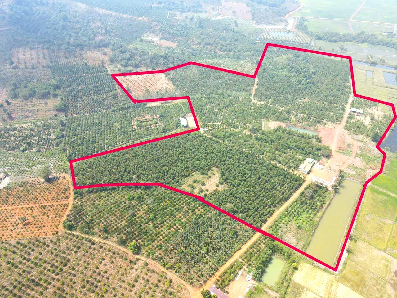 10ha đất bằng,nguồn thu mạnh,view ruộng, gần đường nhựa