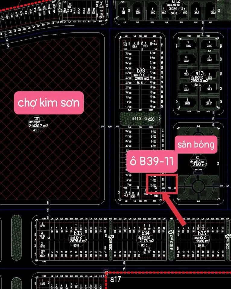 BT KIM SƠN KĐT KIM SƠN P. KIM SƠN TP. ĐÔNG TRIỀU QN