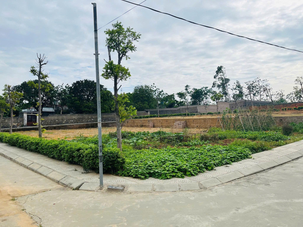 🔐 Đông Triều - Quảng Ninh Đất Vàng Đang Giá Bạc – 9tr/m² – Săn Ngay Trước Khi Tăng Nóng!