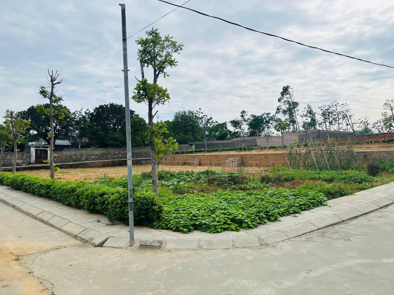🏡Cơ hội vàng cho nhà đầu tư nhạy bén - Chính chủ bán gấp chỉ 9tr/m2 - Đất ở đô thị