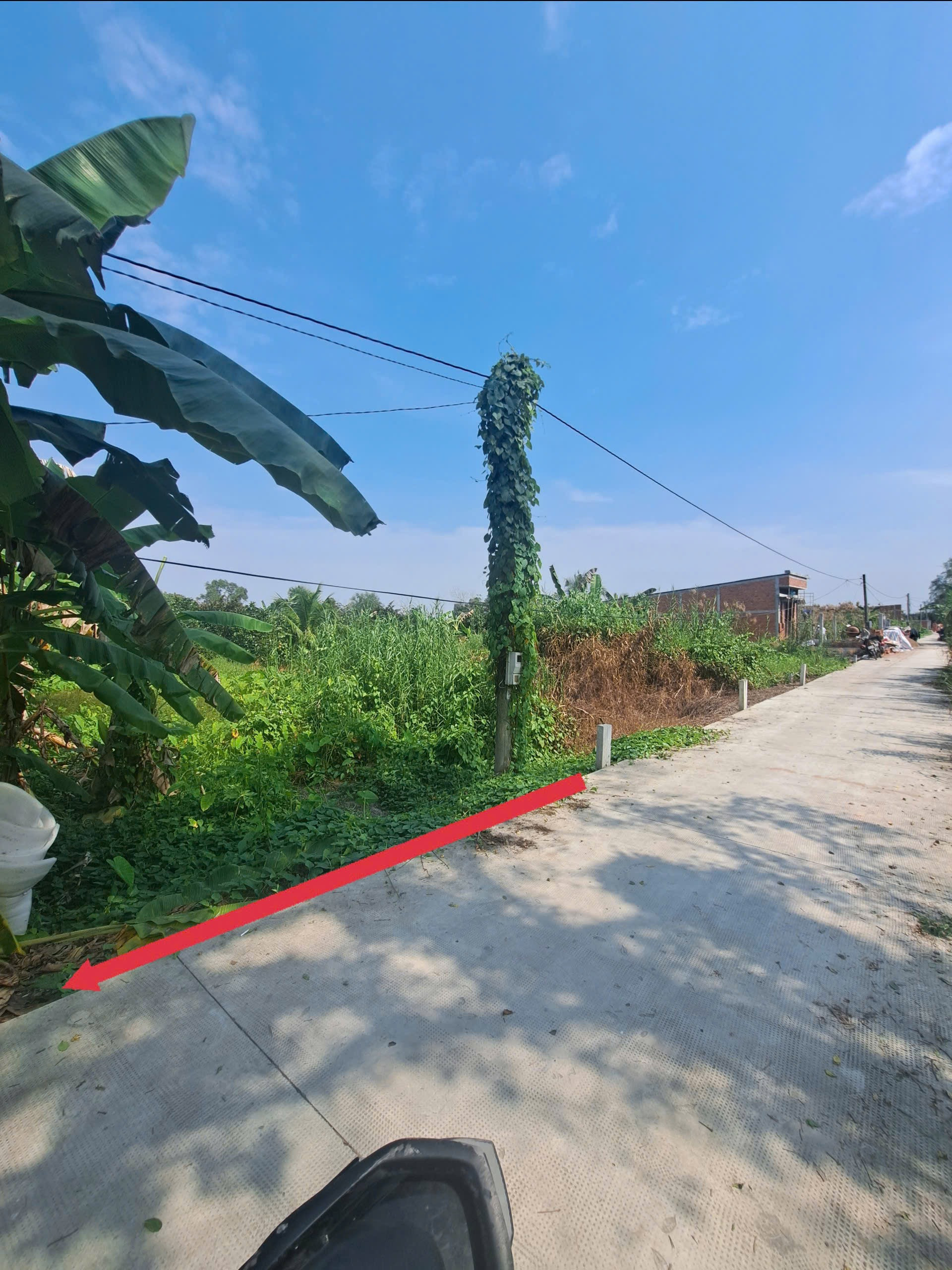 Bán nền 120m2 có thổ cư Rạch Ông Xoài, Đông Phước, Cần Thơ gần trường đại học Võ Trường Toản cách QL1A 1,5km