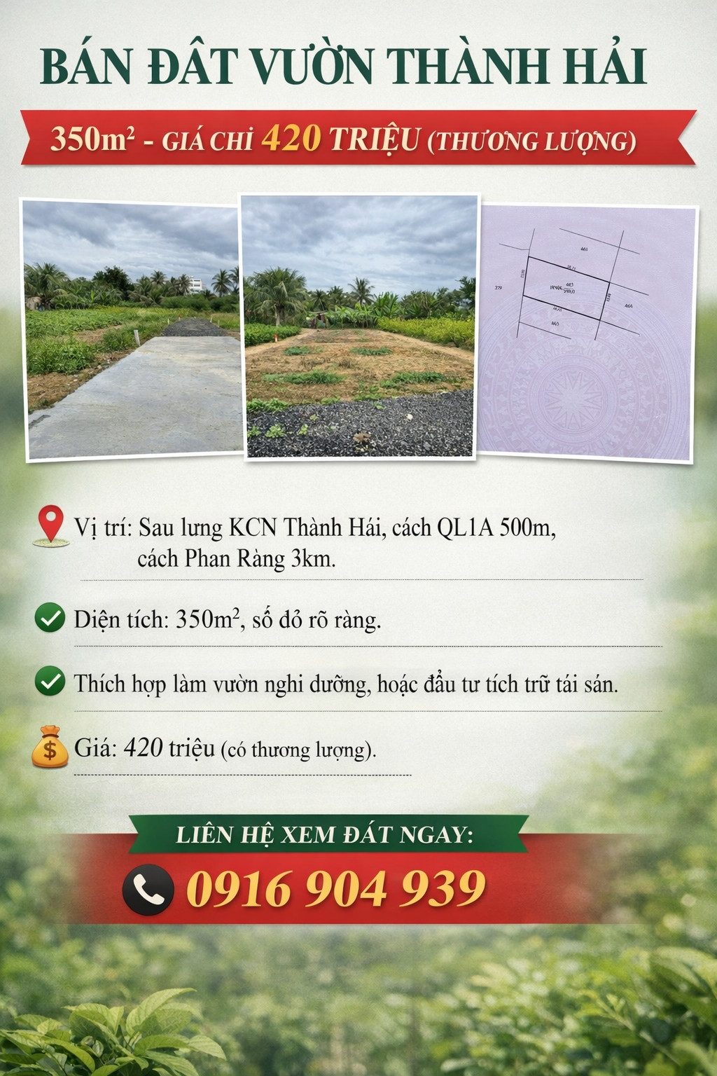 🌿 Bán đất vườn Thành Hải – 350m², giá chỉ 420 triệu (thương lượng)