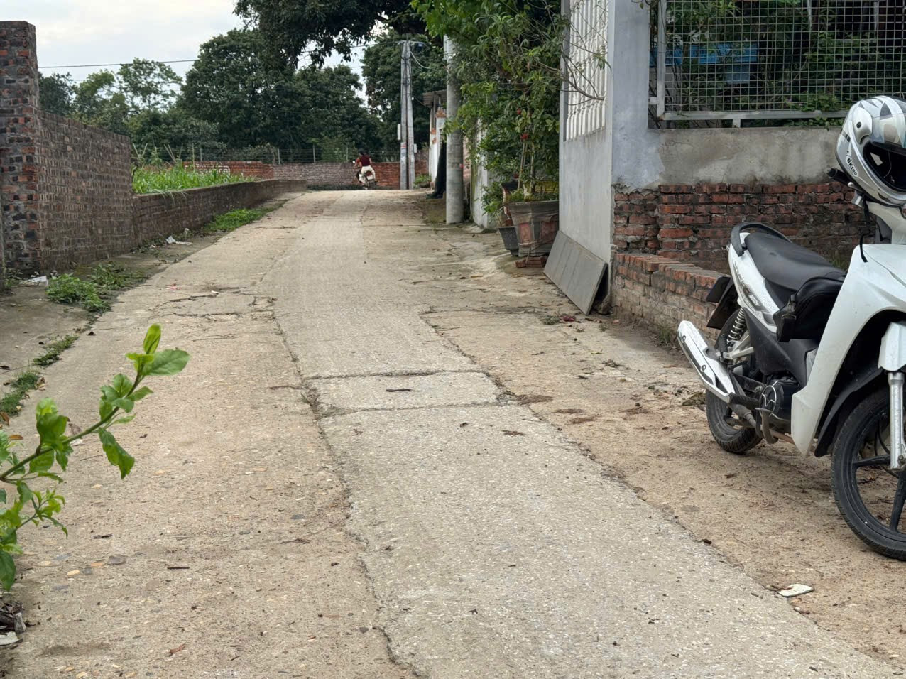 Bán đất 69m² ngang 4,38m giá 1.9 tỷ tại Xã Minh Phú Huyện Sóc Sơn