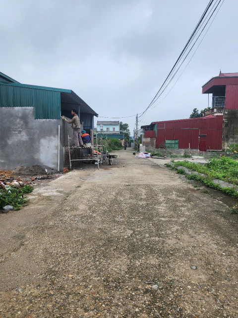 Bán đất 83m² ngang 5m tại Xã Phù Linh Huyện Sóc Sơn