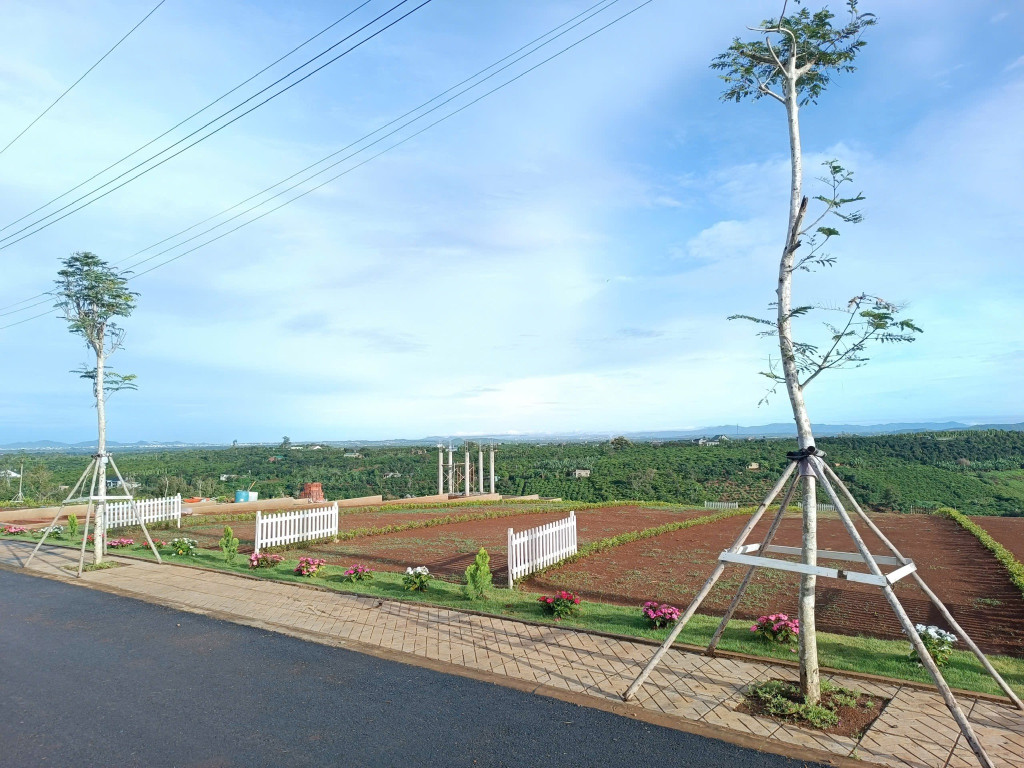 BÁN GẤP LÔ ĐẤT NỀN DI LINH – GIÁ TỐT NHẤT KHU VỰC