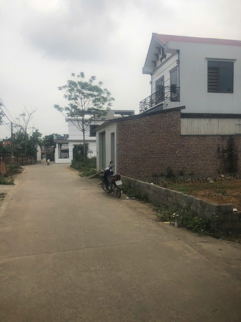 Hình 2