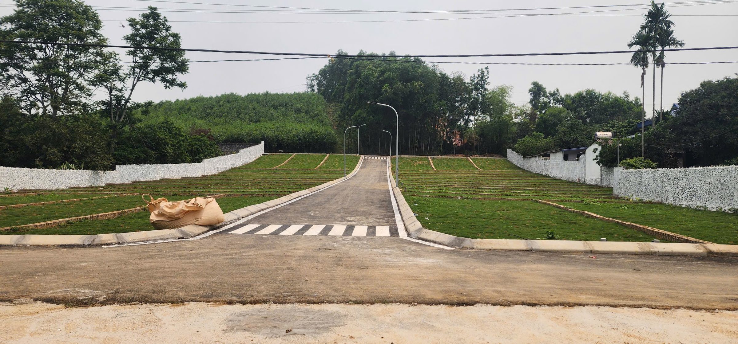 Hình 3