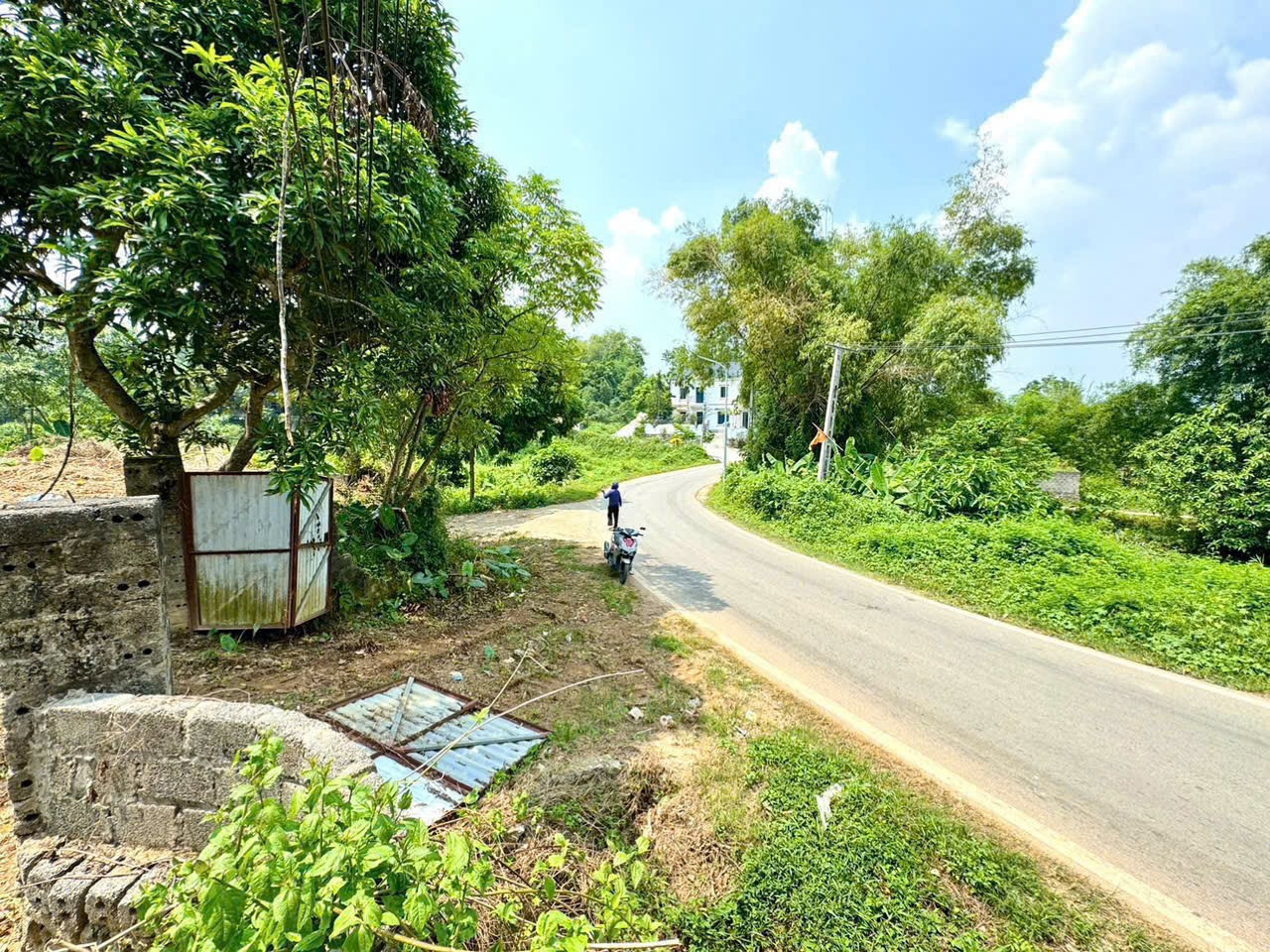Bán đất
