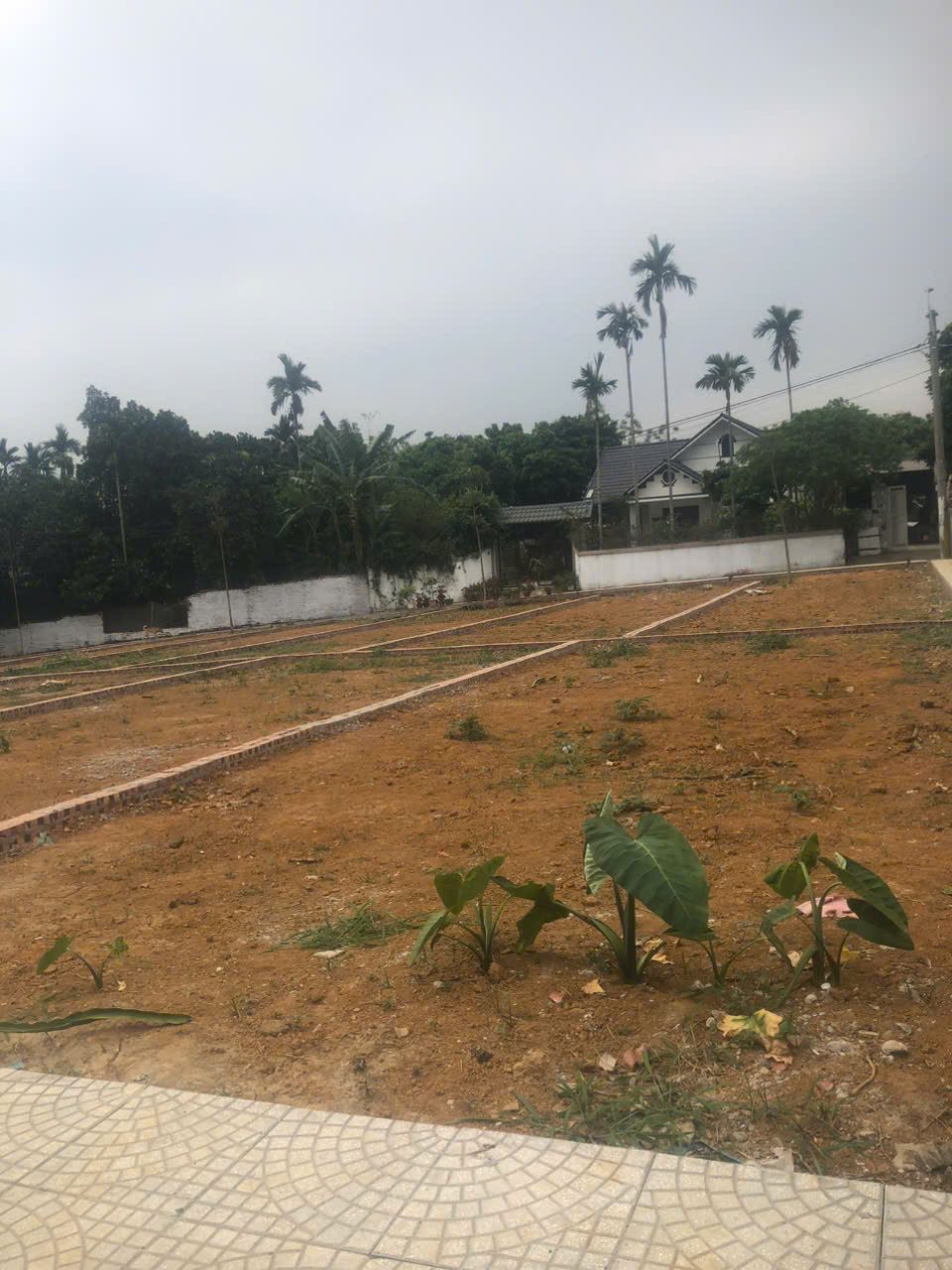 BÁN ĐẤT HOÀ LẠC, FUN THỔ CƯ,ĐỂ Ở, KINH DOANH,XÂY CĂN HỘ DÒNG TIỀN,DẦU TƯ SINH LỜI ĐỀU ĐƯỢC