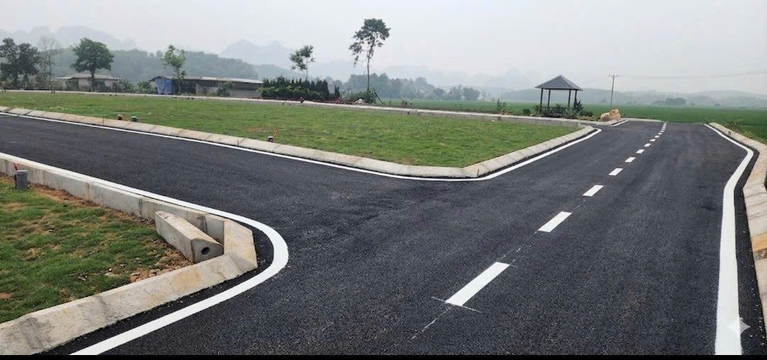 Hình 5