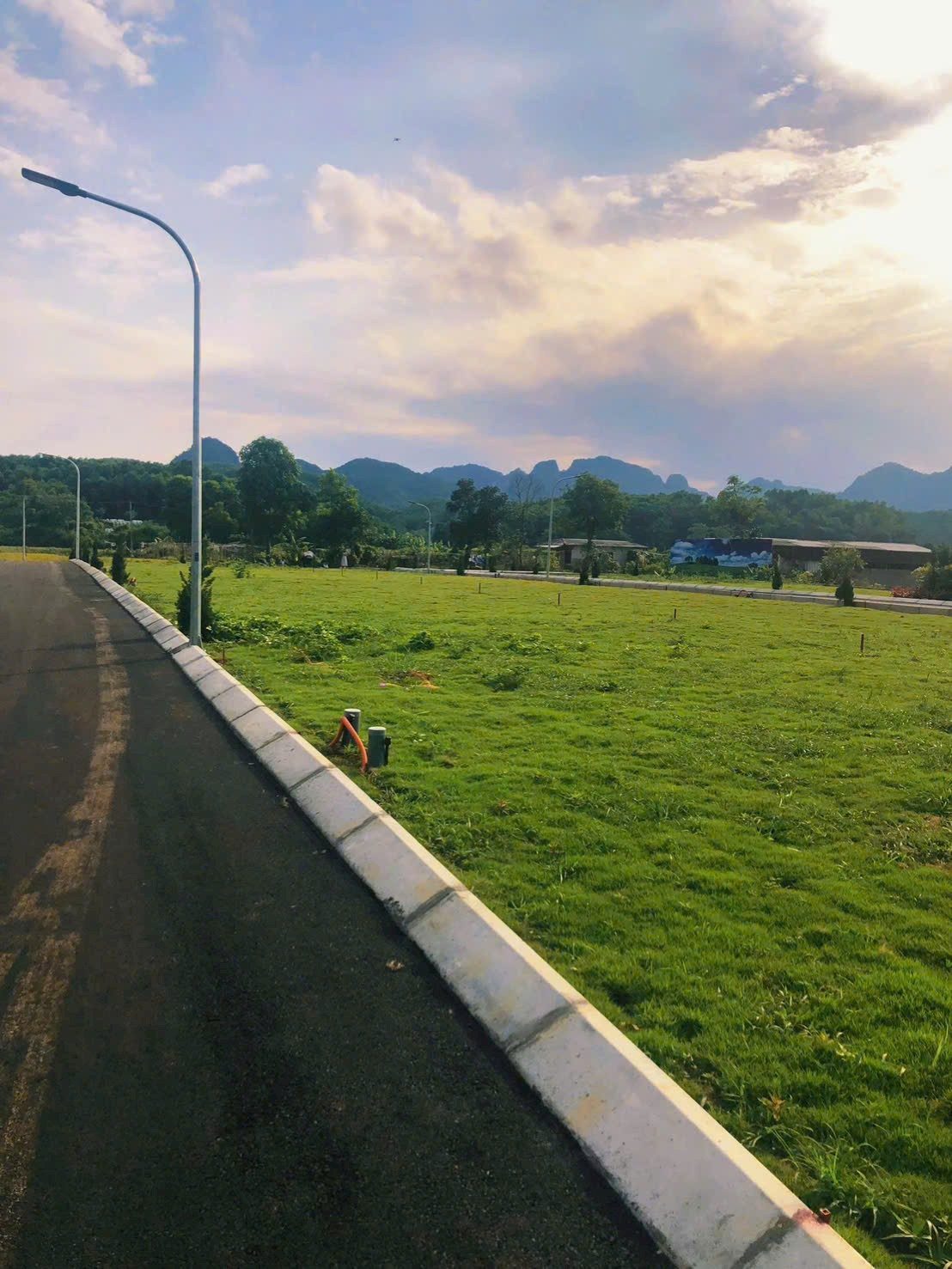 Hình 5