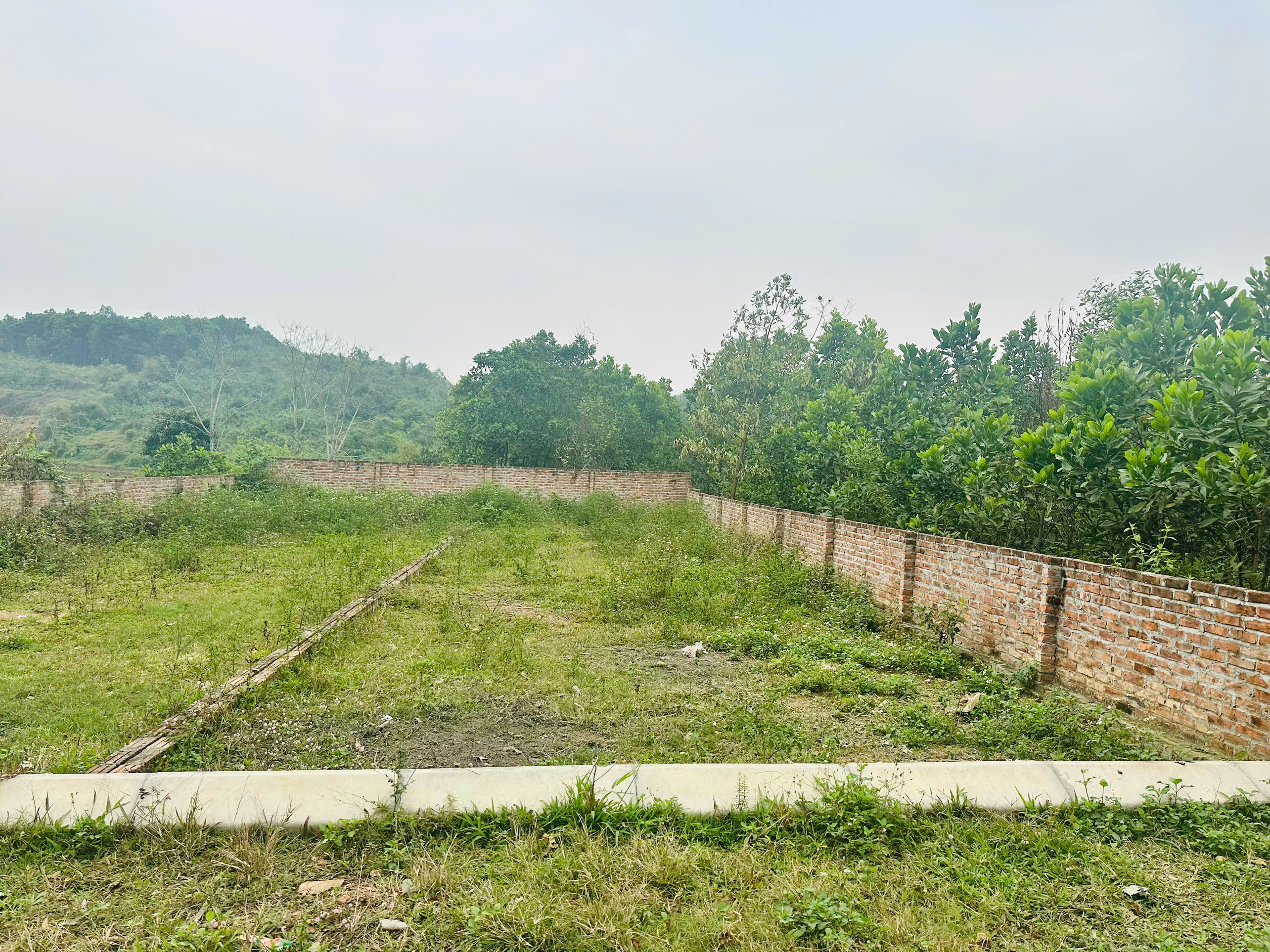 Đất ở đô thị tại trung tâm Ba Hàng Đồi 139m2 Full thổ cư giá chỉ 695tr.