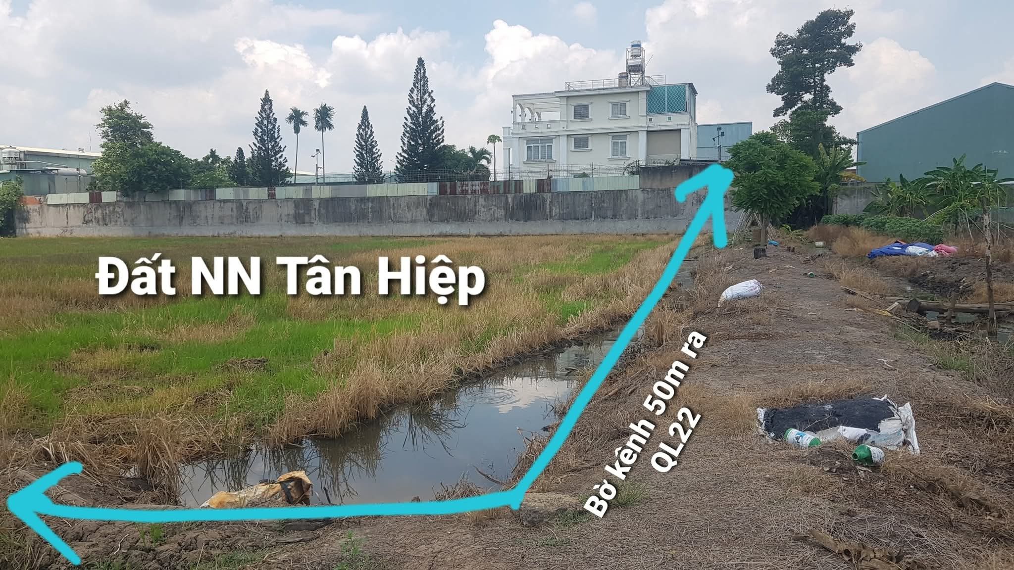 🟥Bán đất sát Vành đai 3 tổng 5838m² ngang 60m giá 27 tỷ tại Đường Quốc Lộ 22 Xã Hóc Môn
