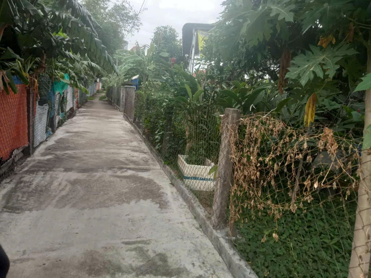 Bán đất chợ phong niên, Phú hòa 1