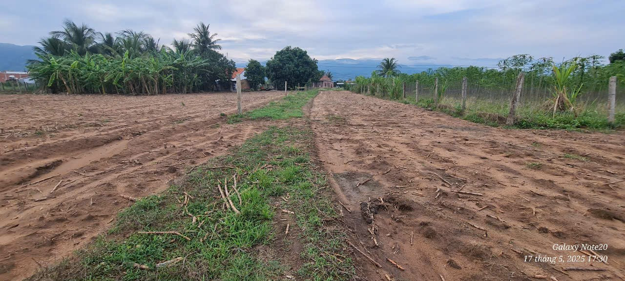 BÁN ĐẤT MẶT TIỀN QUỐC LỘ 26 NINH TÂY, NINH HÒA, KHÁNH HÒA